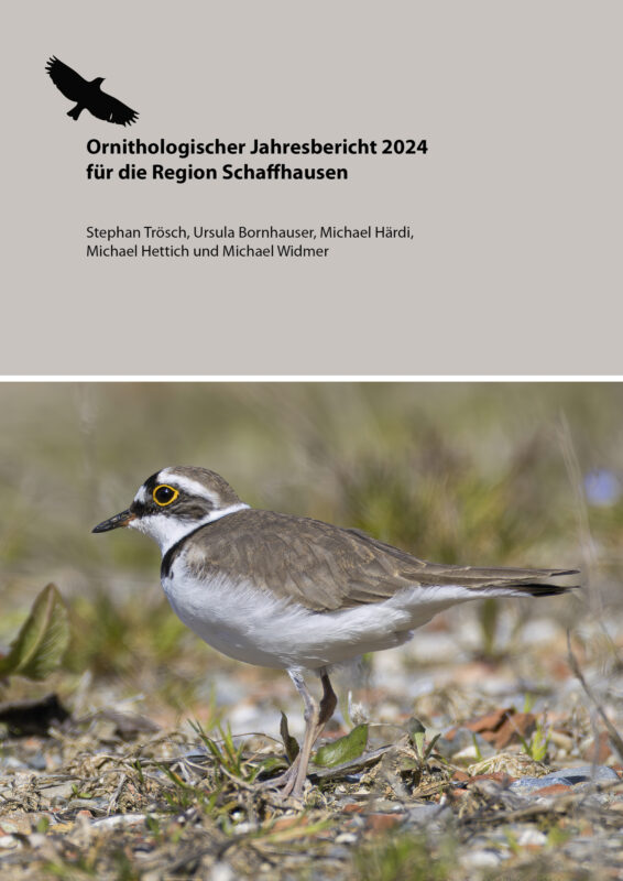 Jahresbericht 2024_X2400