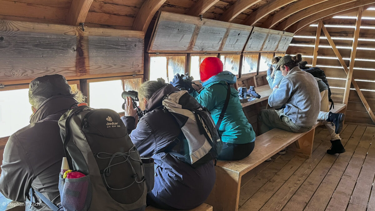 2026-03-07_105320_0011_X2400