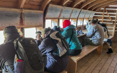 2026-03-07_105320_0011_X2400 2026-03-07_105320_0011_X2400