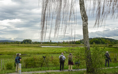 _DSC0148_X2400